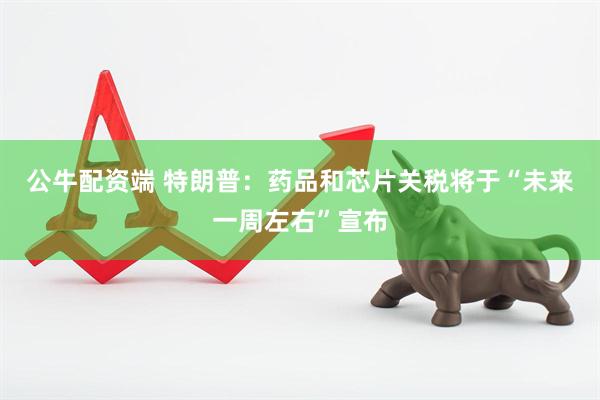 公牛配资端 特朗普：药品和芯片关税将于“未来一周左右”宣布